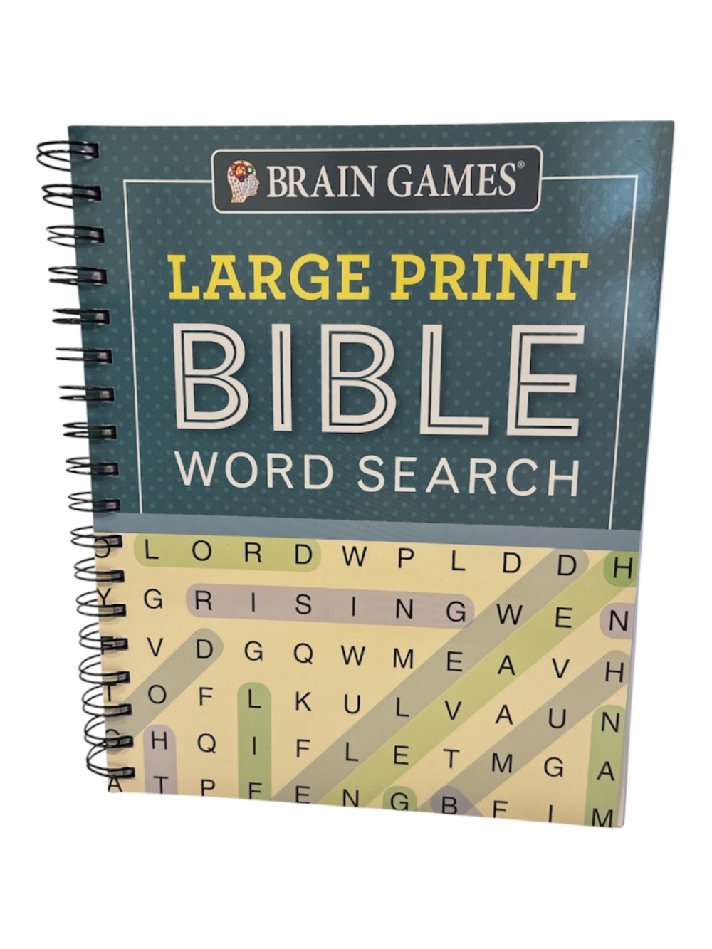 BIBLE WORD SEARCH  Large Print and Pen